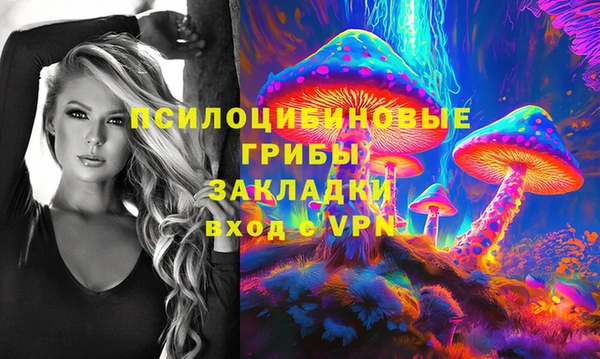 ALPHA PVP Корсаков