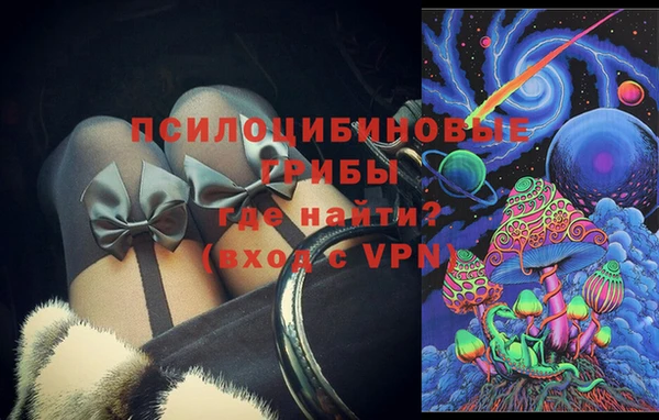 ALPHA PVP Корсаков